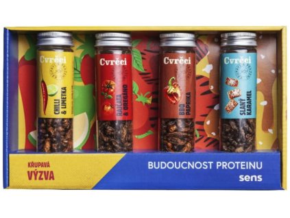 Snímek obrazovky 2024 12 09 v 11.20.41