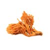 hover cordyceps1.761696527