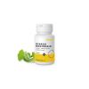 Epigemic ginkgo bodybrain 1024x768