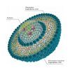 BrainMax Липозомален Витамин C, 200 мл  BrainMax Течен Липозомален Витамин C, хранителна добавка