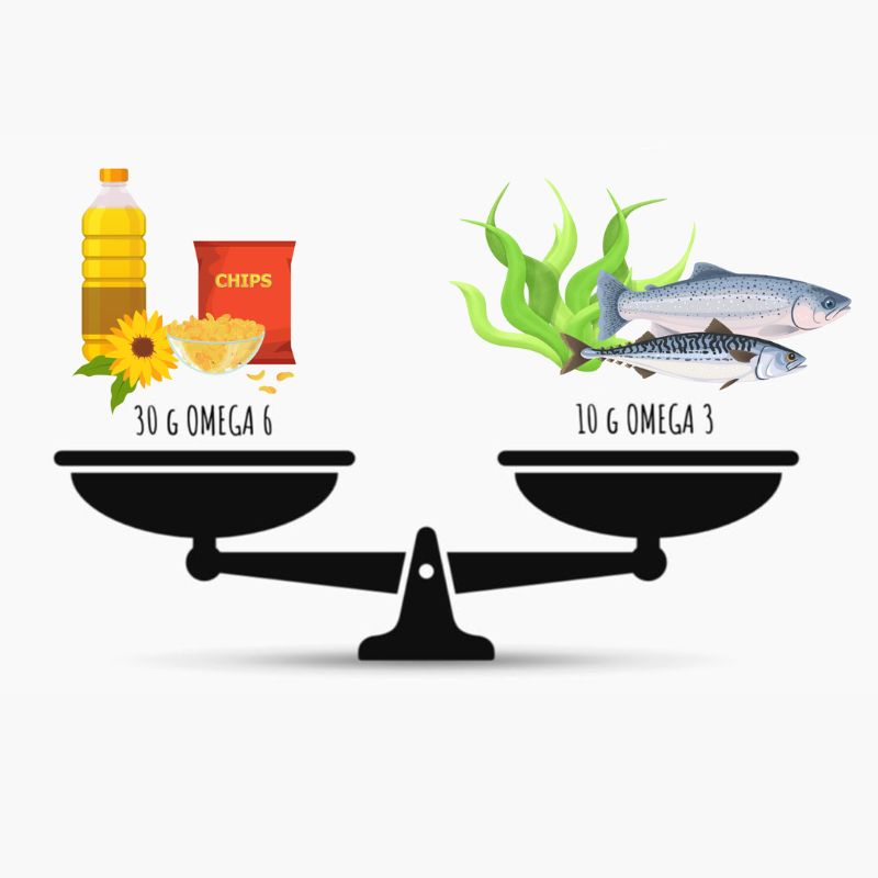 Proč je důležité mít správný poměr omega 3 a 6?