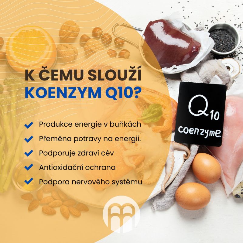 Koenzym Q10. K čemu slouží a který vybrat? Jaké jsou rozdíly mezi ubichinonem a ubiquinolem?