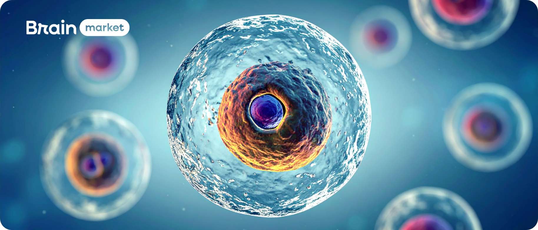 NAD+: Energie buněk a jeho vliv na organismus