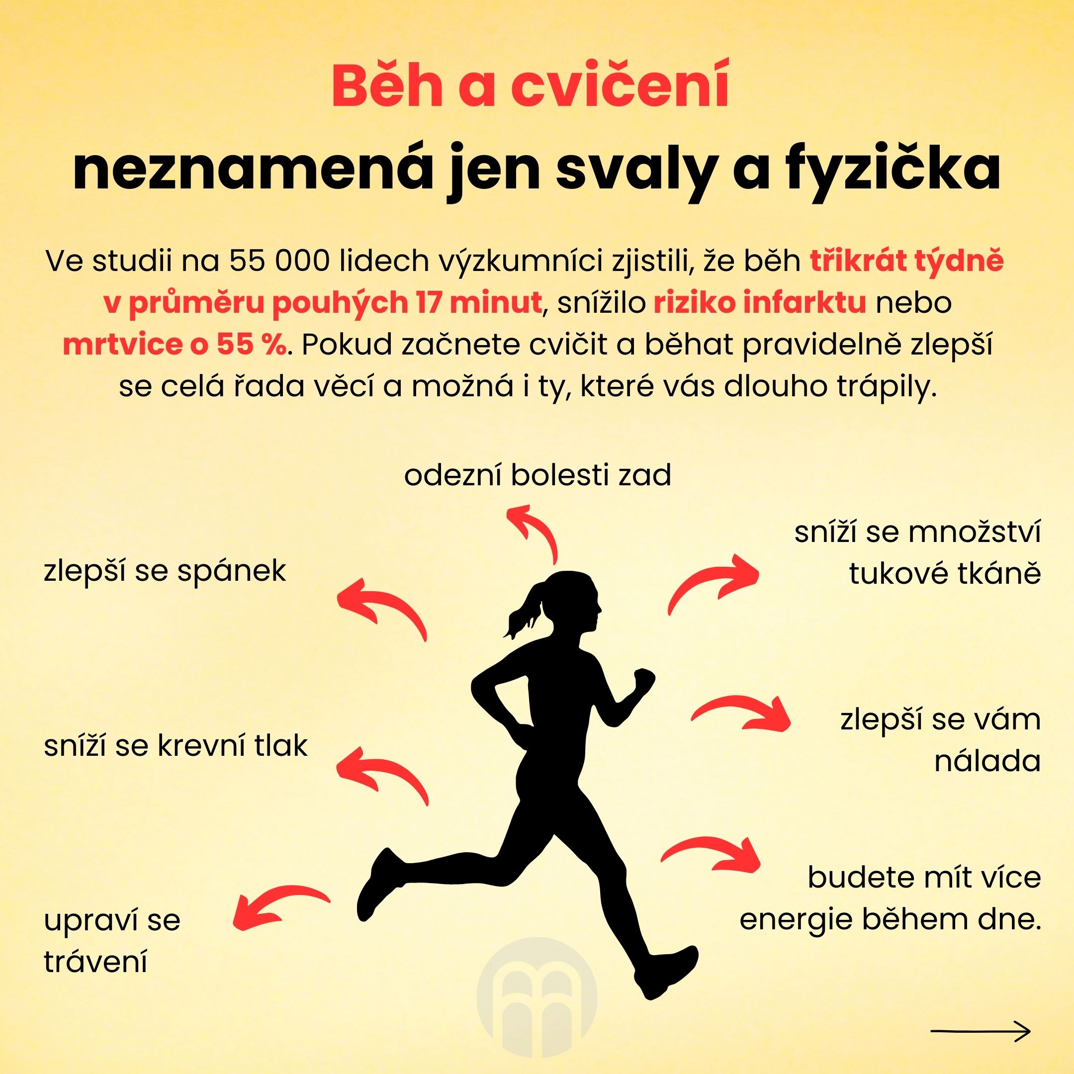 Posilování doma. Proč používat balanční pomůcky a jaký vliv mají na držení těla?