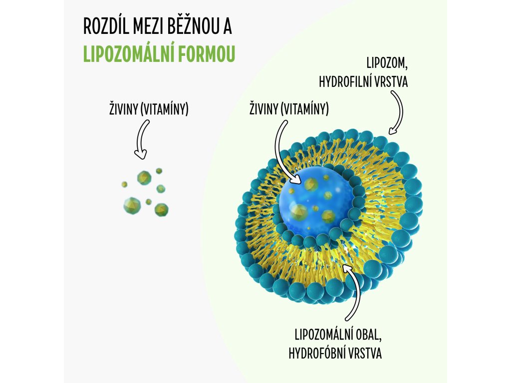 Lipozomální vitamíny. Proč dát přednost lipozomální formě?