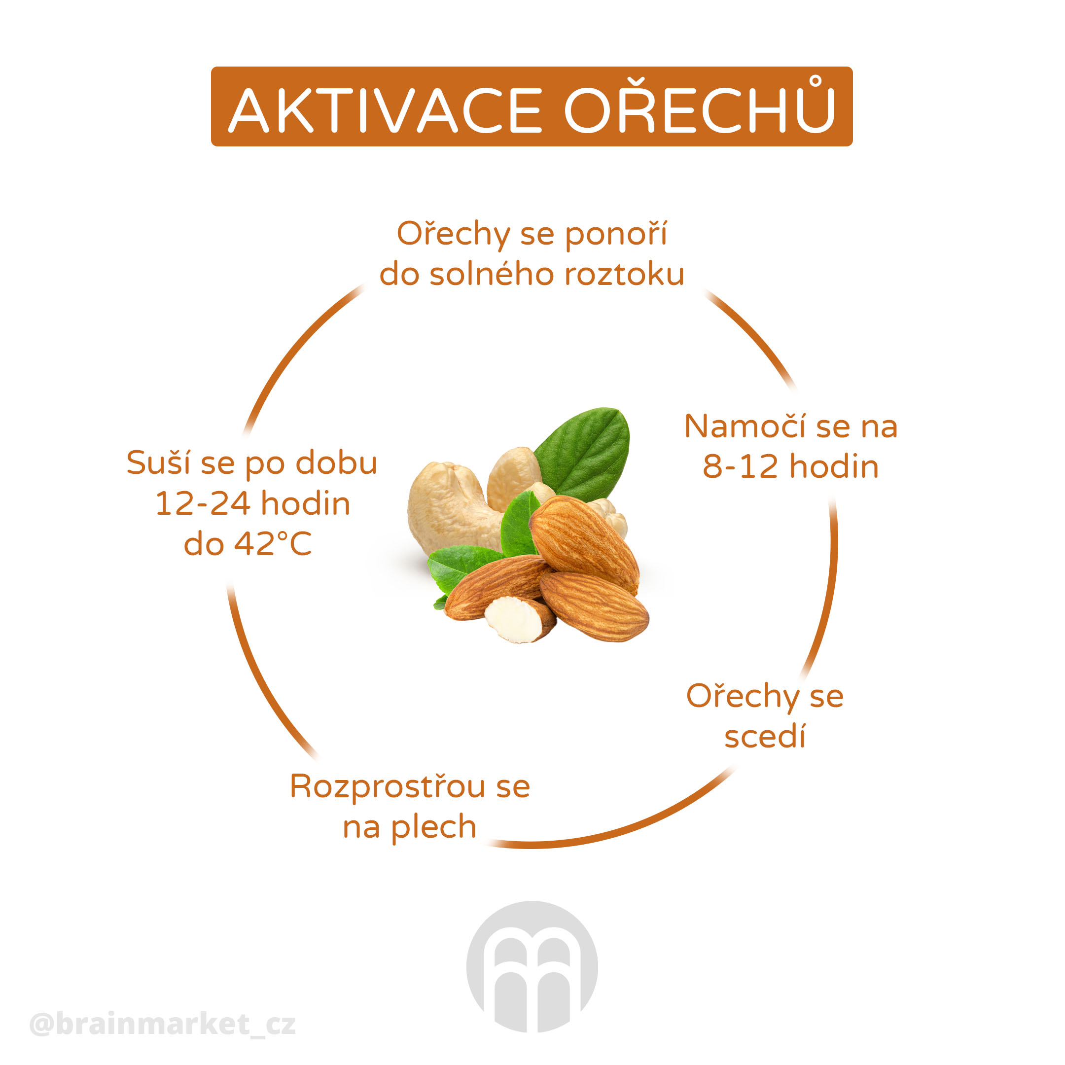 Aktivace ořechů a semínek