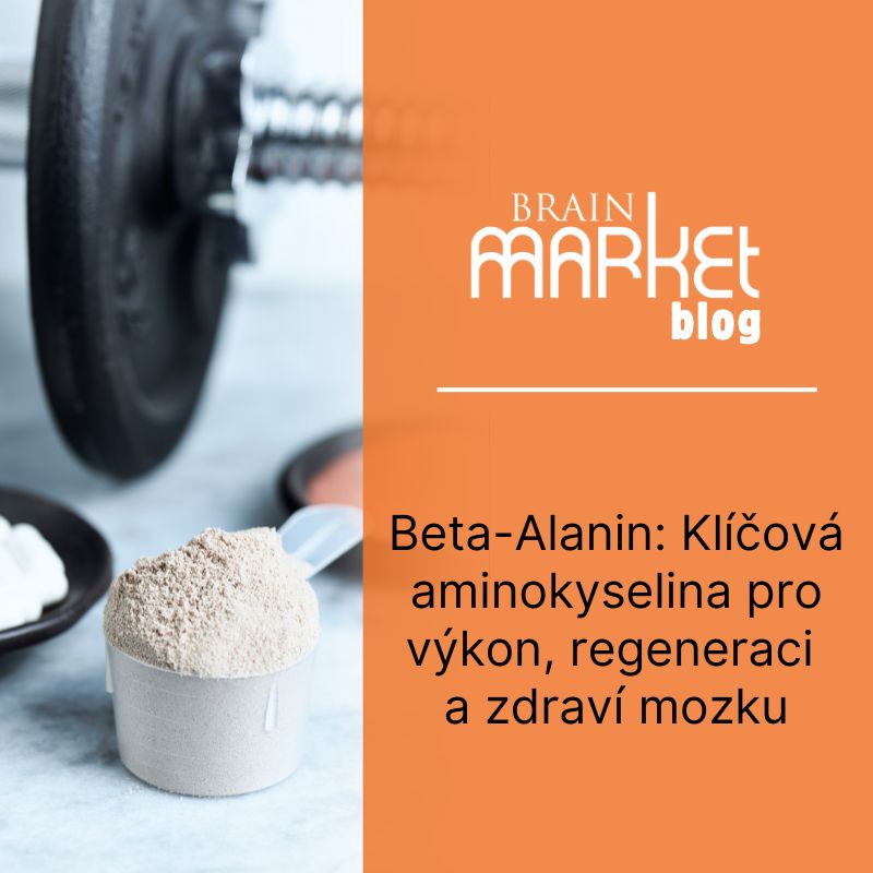 Beta-Alanin: Klíčová aminokyselina pro výkon a regeneraci