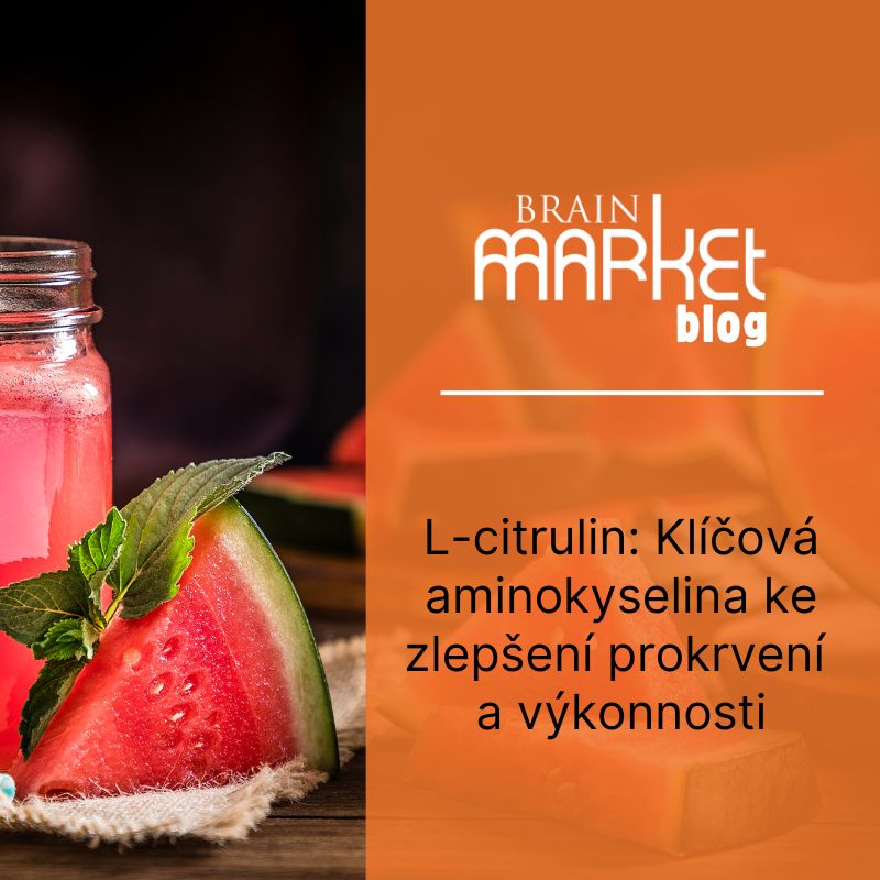 L-citrulin: Klíčová aminokyselina ke zlepšení prokrvení a výkonnosti
