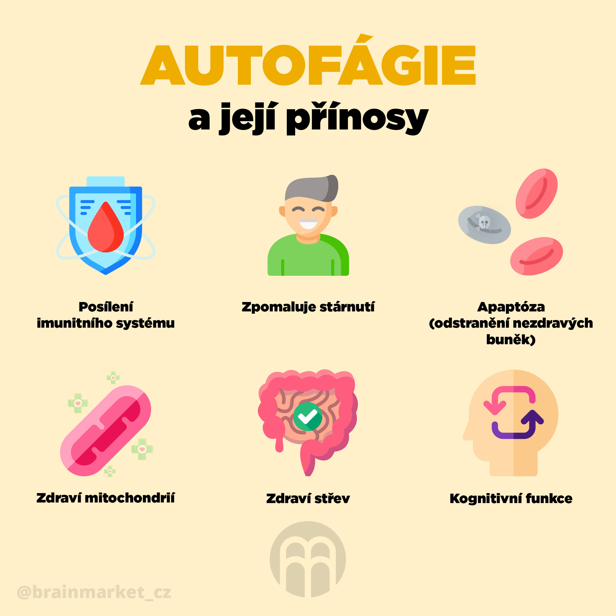 Autofágie neboli buněčná recyklace - 7 látek, které přispívají k buněčnému zdraví