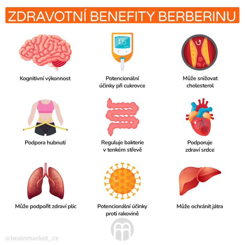 Berberin - na diabetes i trávicí potíže