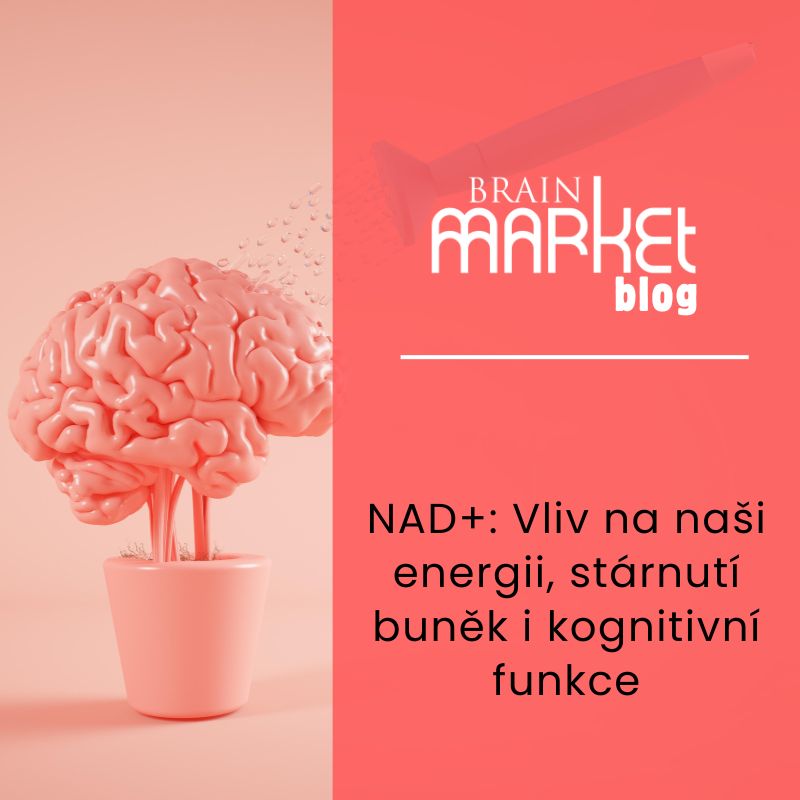 NAD+: Vliv na naši energii, stárnutí buněk i kognitivní funkce