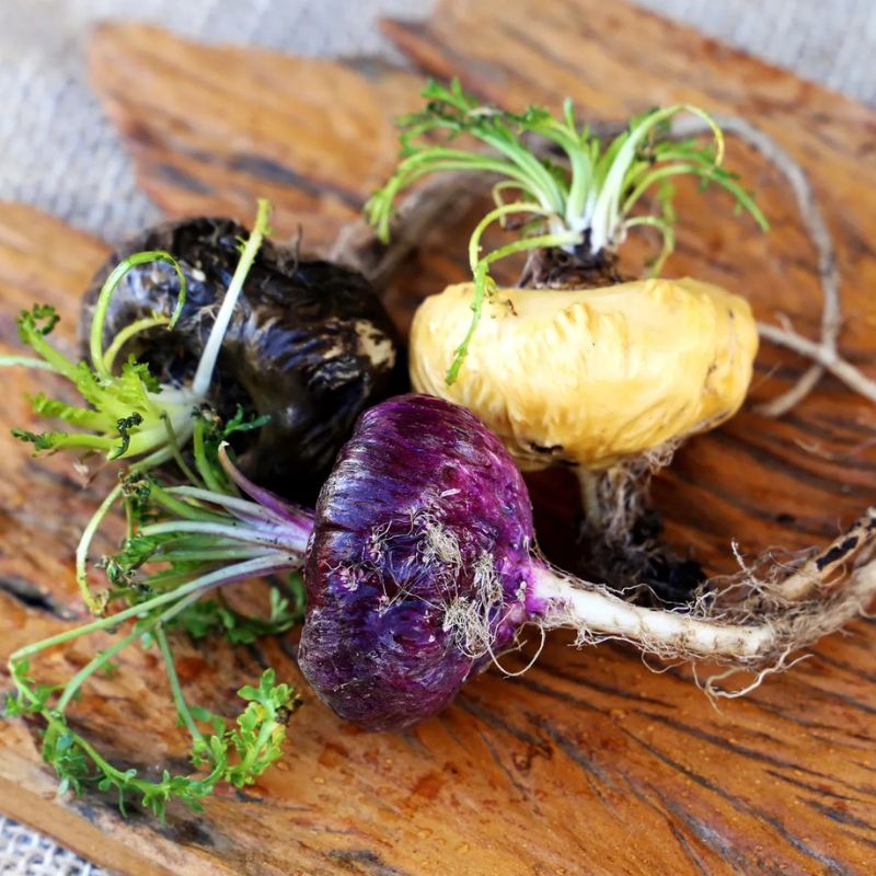 Maca peruánská: Přírodní podpora vitality a rovnováhy