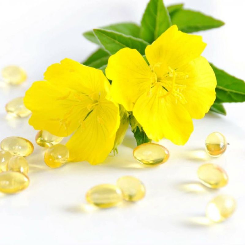 Pupalka dvouletá: olej pro ženský komfort a pokožku