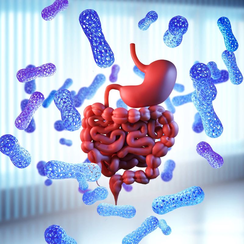 Jak střevní mikrobiom může ovlivnit imunitu, mysl i hmotnost