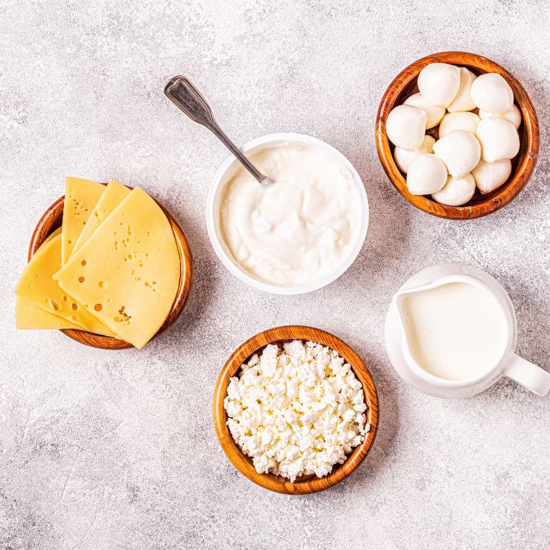 Probiotika a střevní mikrobiom