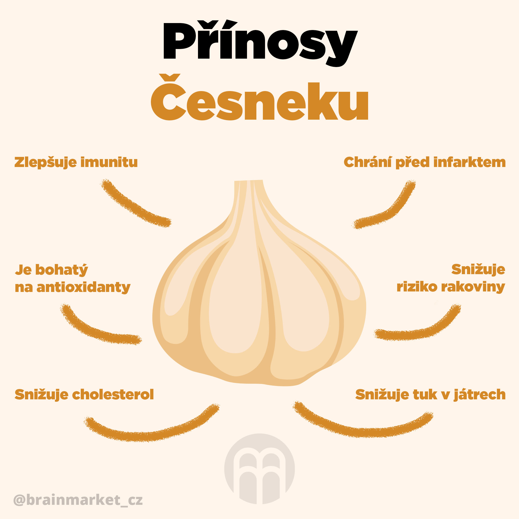 Cibule a česnek - přírodní antibiotikum