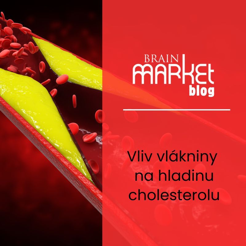 Vliv vlákniny na hladinu cholesterolu