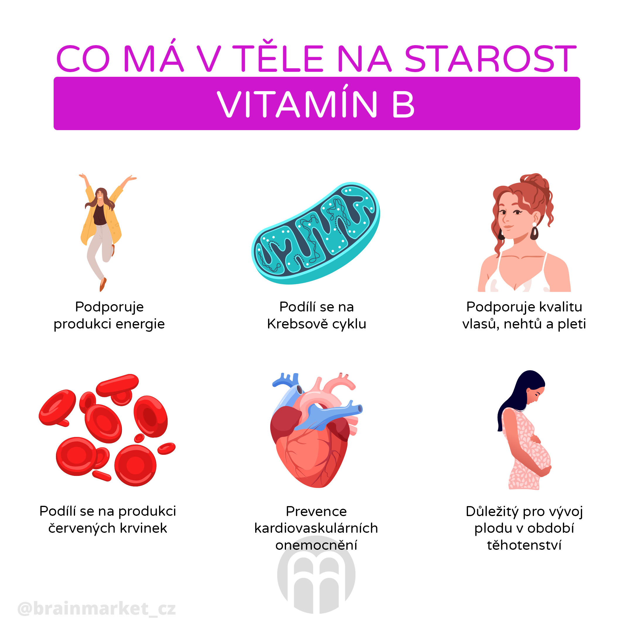 B komplex: Proč užívat? Který vitamín B je pro vás nejlepší?