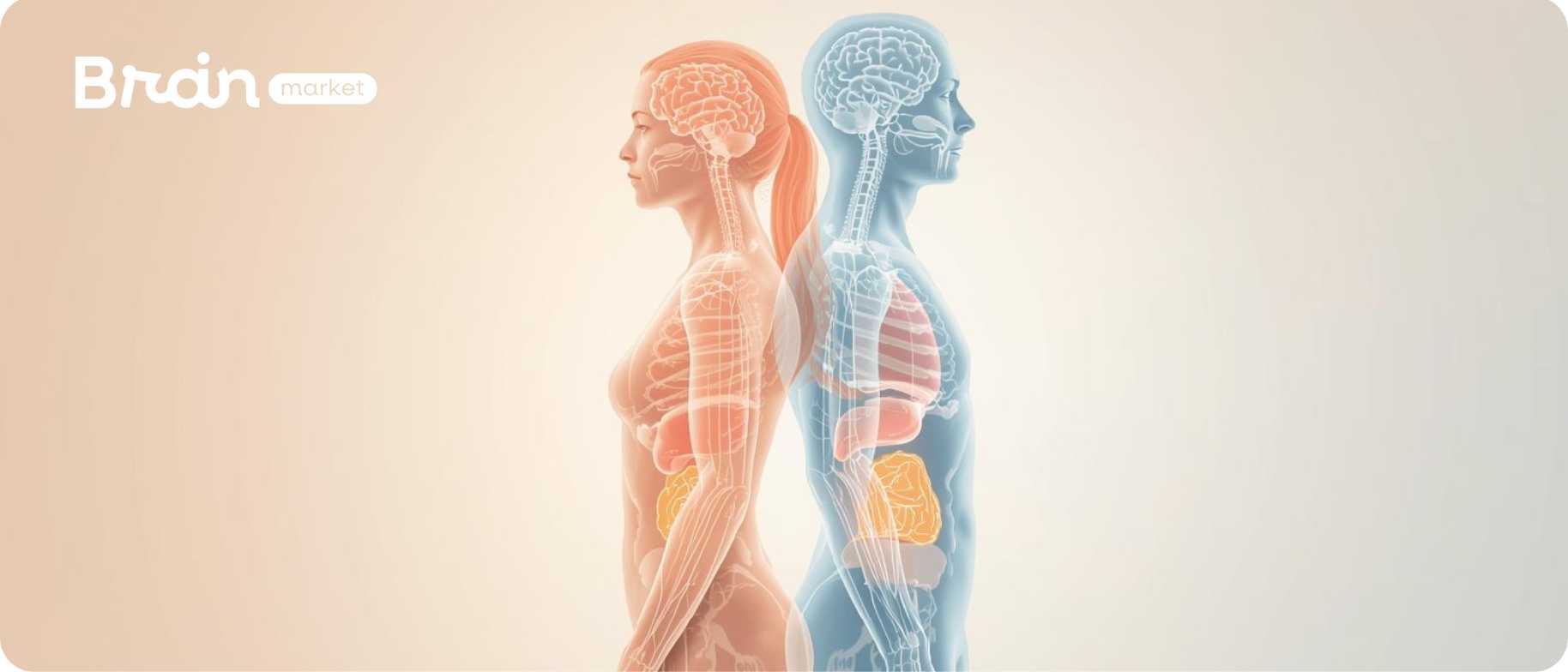 Estrogen v kostce: Kompletní průvodce pro ženy i muže