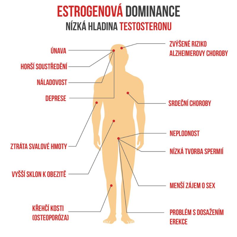 Estrogenová dominance u mužů