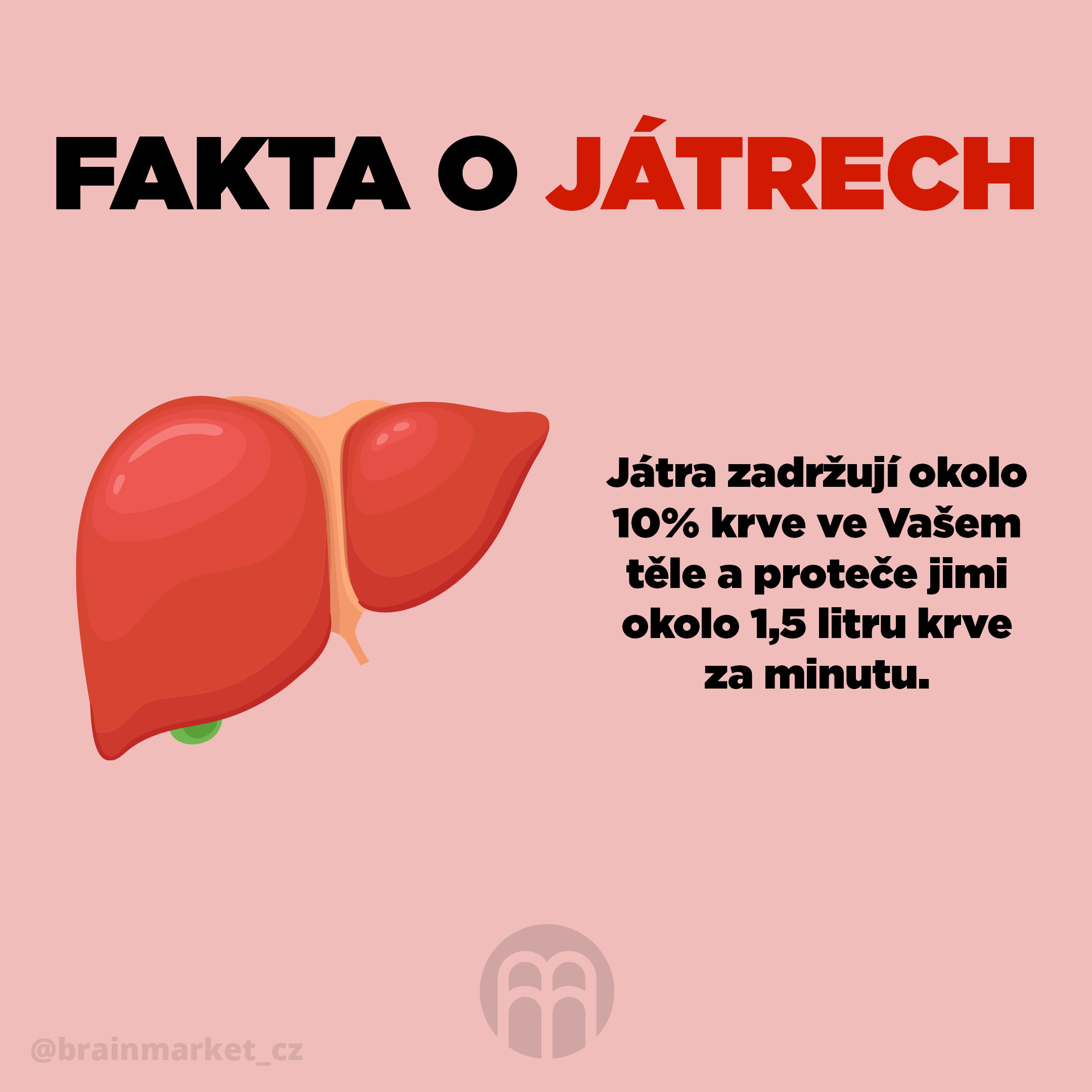 K čemu máme játra a jak je posílit?