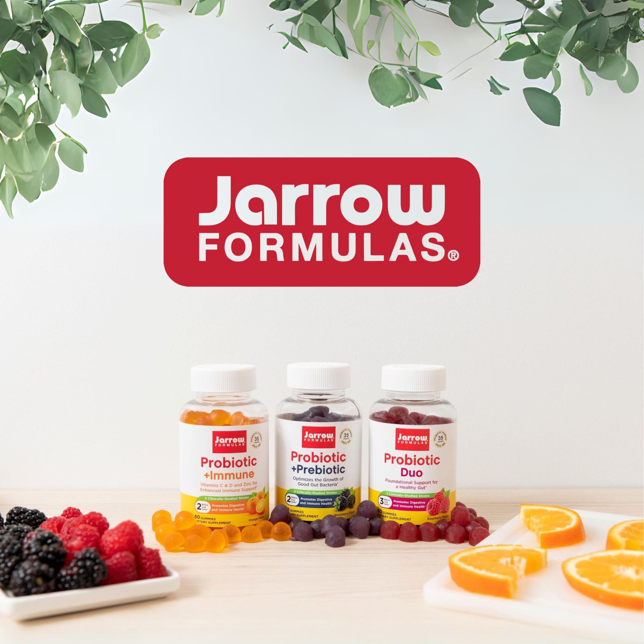Jarrow Formulas: Přední Inovátor ve světě doplňků stravy