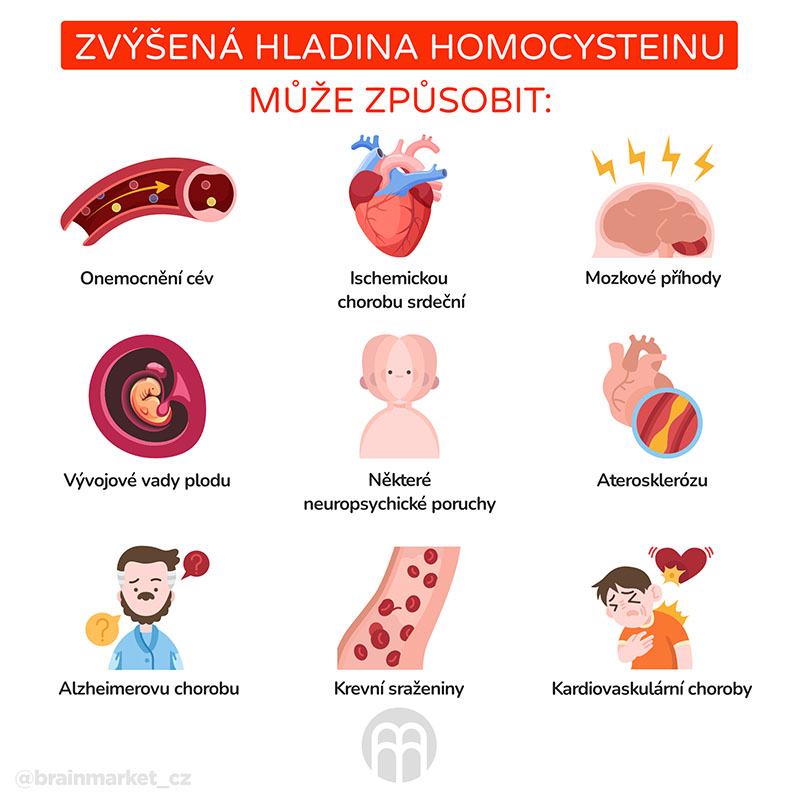 Co je homocystein a jak snížit  jeho hladinu?