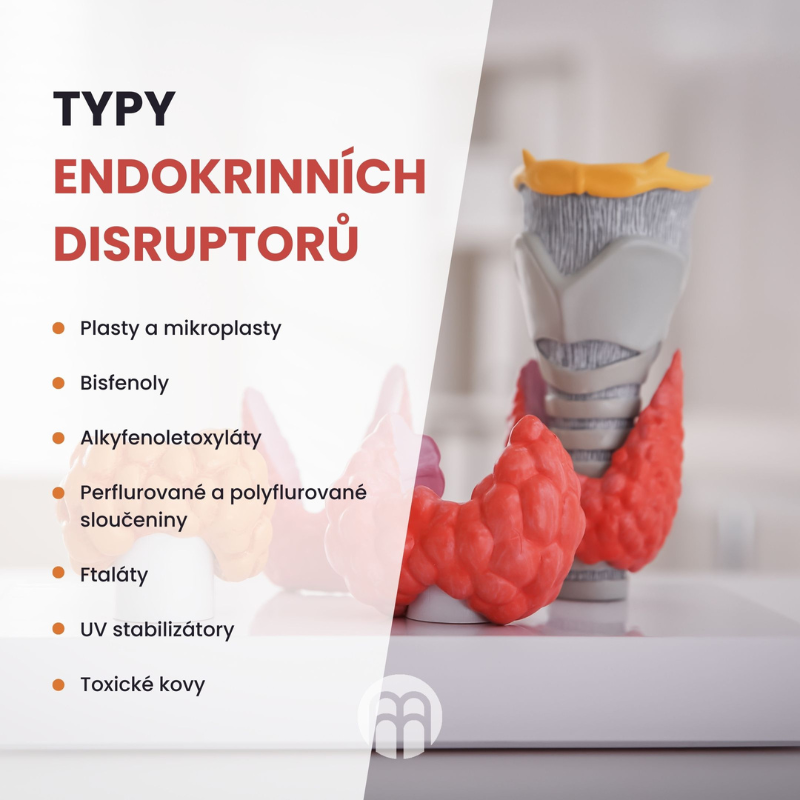 Nejnebezpečnější endokrinní disruptory a jejich označení na produktech