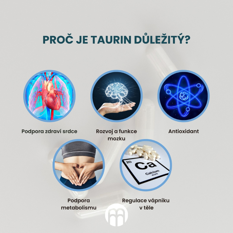 Taurin: Jeho role a význam pro lidské zdraví