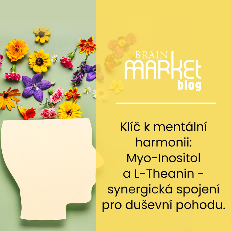 Klíč k mentální harmonii: Myo-Inositol a L-Theanin - synergická spojení pro duševní pohodu.