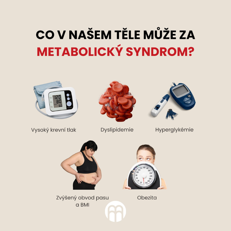 Metabolický syndrom. Čím je způsobeno toto onemocnění moderní doby?