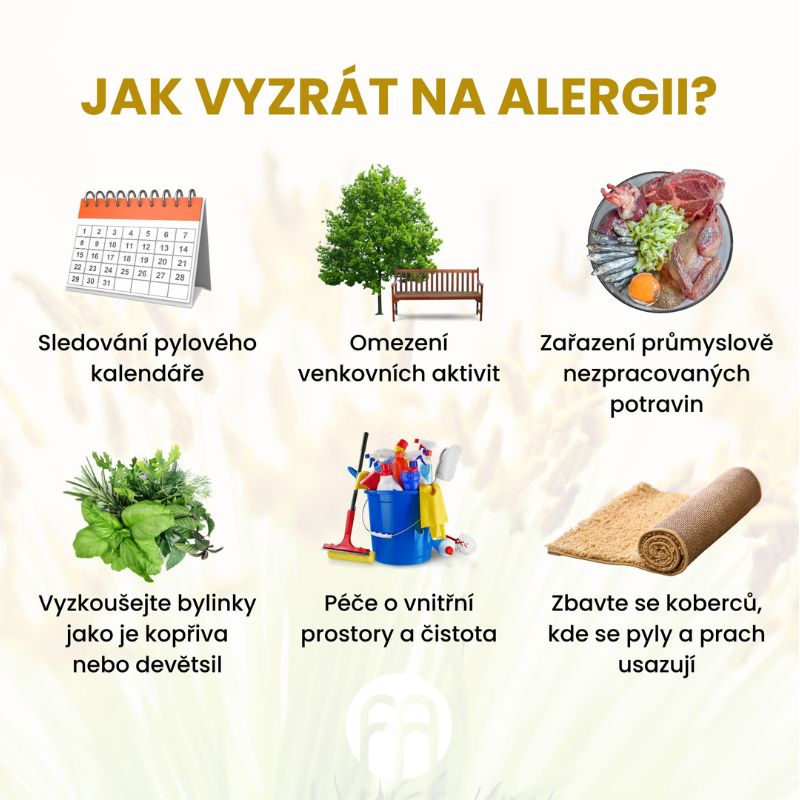 Alergie na pyl. 8 přírodních tipů, jak vyřešit (nejen) alergii na pyl přírodní cestou