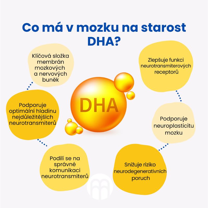 Omega 3: DHA je palivo pro mozek