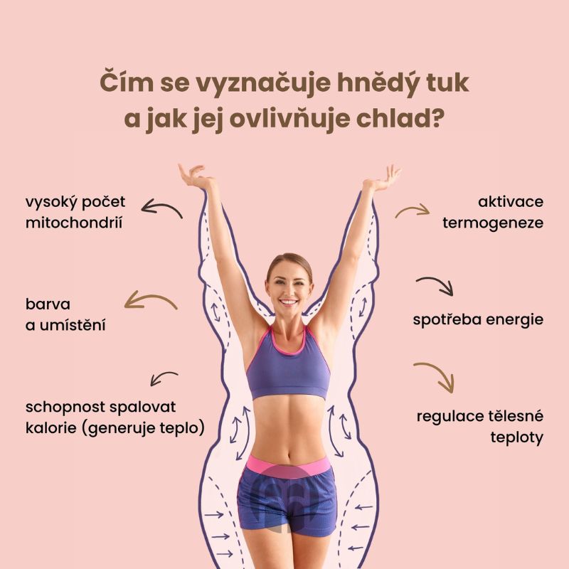 Vystavování chladu a hubnutí? Lze podpořit hubnutí otužováním?