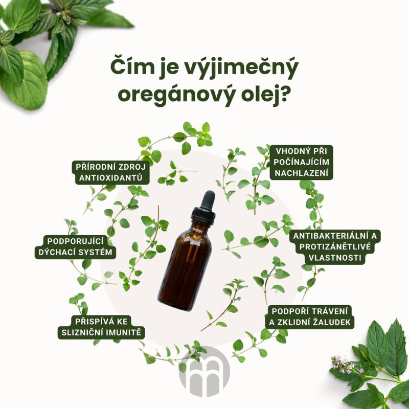 Oreganový olej a jeho vliv na naši imunitu