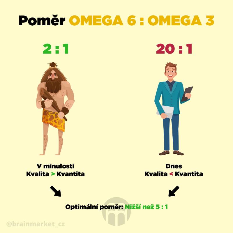 Omega-3 a 6 a jejich správný poměr ve stravě