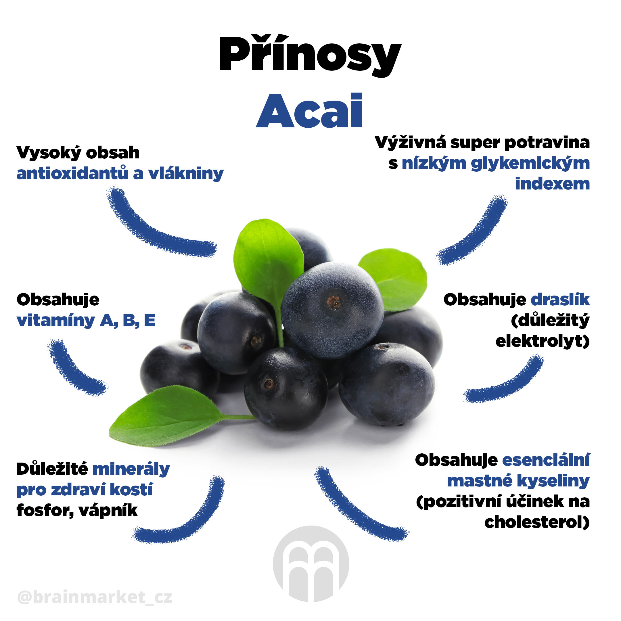 Acai: superpotravina nabitá antioxidanty