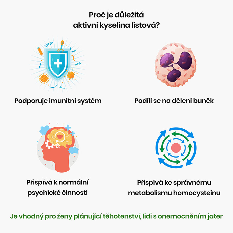 Kyselina listová vs methylfolát