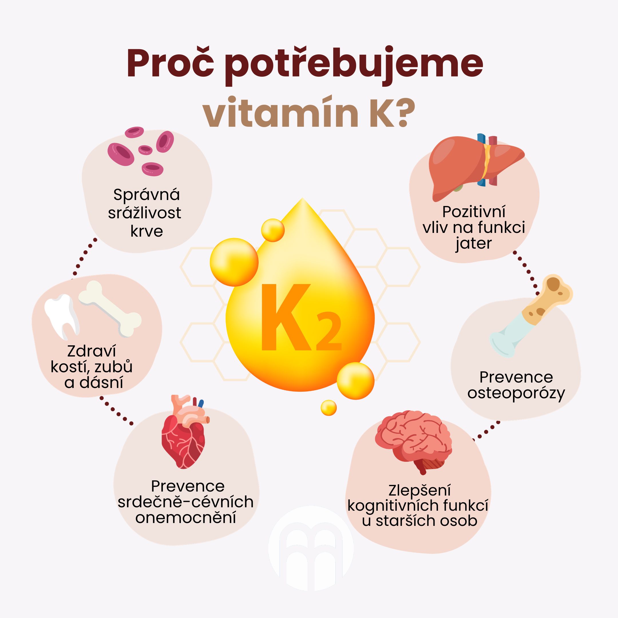 Proč potřebujeme vitamin K2 a jaké jsou jeho formy? Vitamín podporující zdraví kostí a cév.