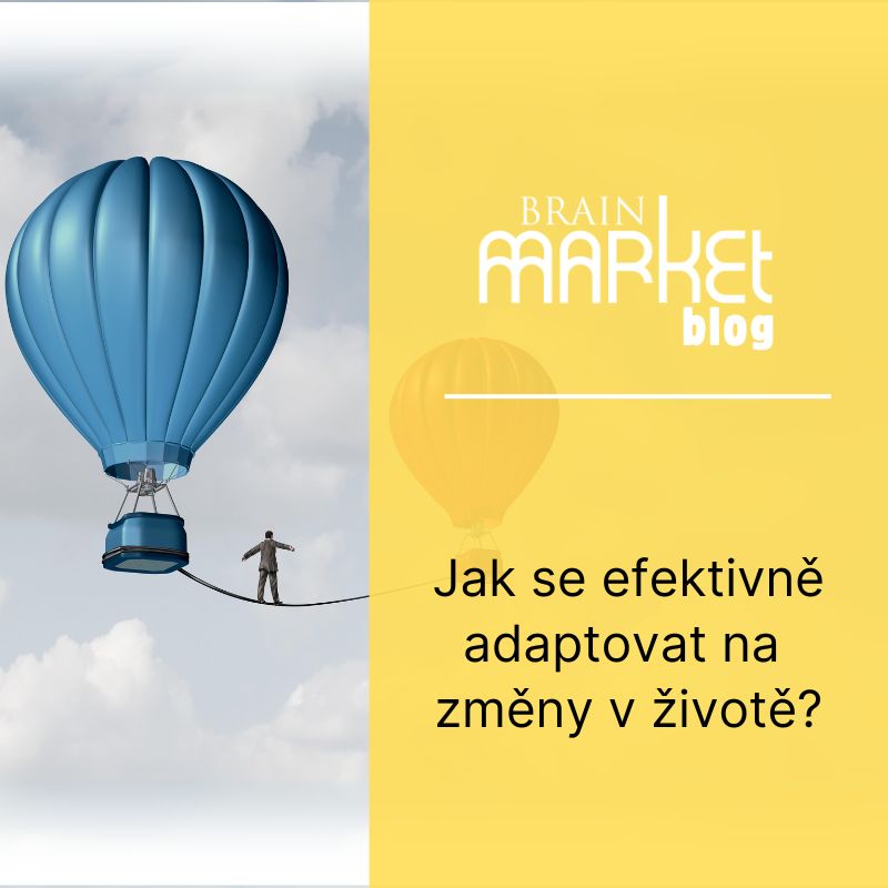 Jak se efektivně adaptovat na změny v životě?