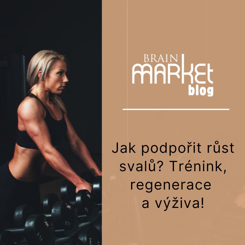 Jak podpořit růst svalů? Trénink, regenerace a výživa!