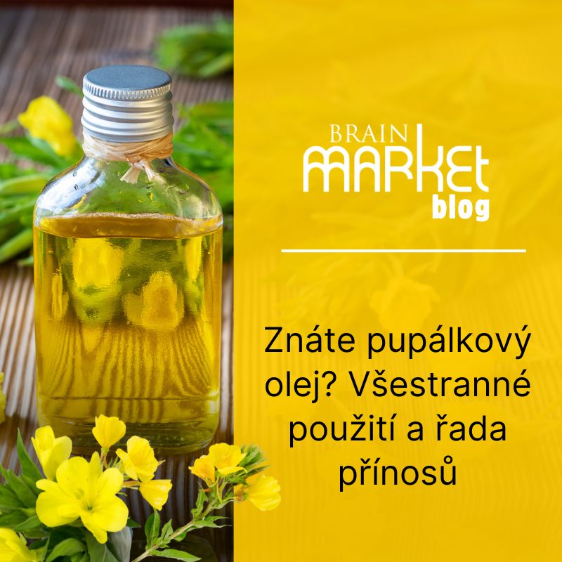 Znáte pupálkový olej? Všestranné použití a řada přínosů
