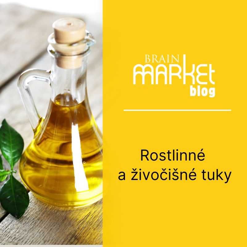Rostlinné a živočišné tuky: Jak najít správnou rovnováhu ve stravě