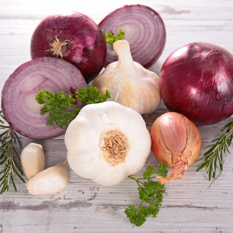Cibule a česnek - přírodní antibiotikum