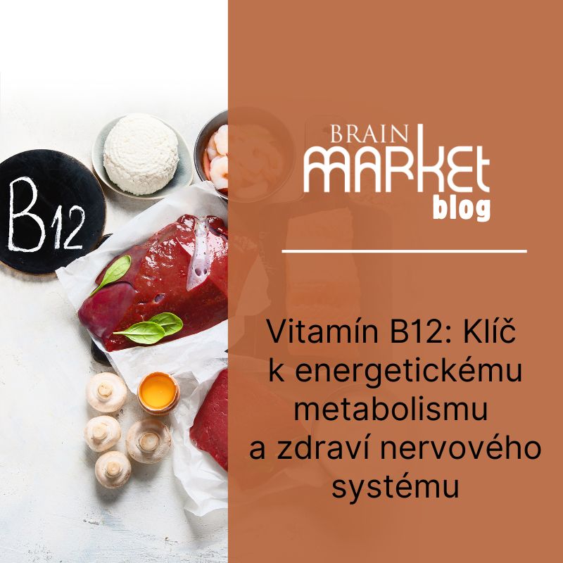 Vitamín B12: Klíč k energetickému metabolismu a zdraví nervového systému