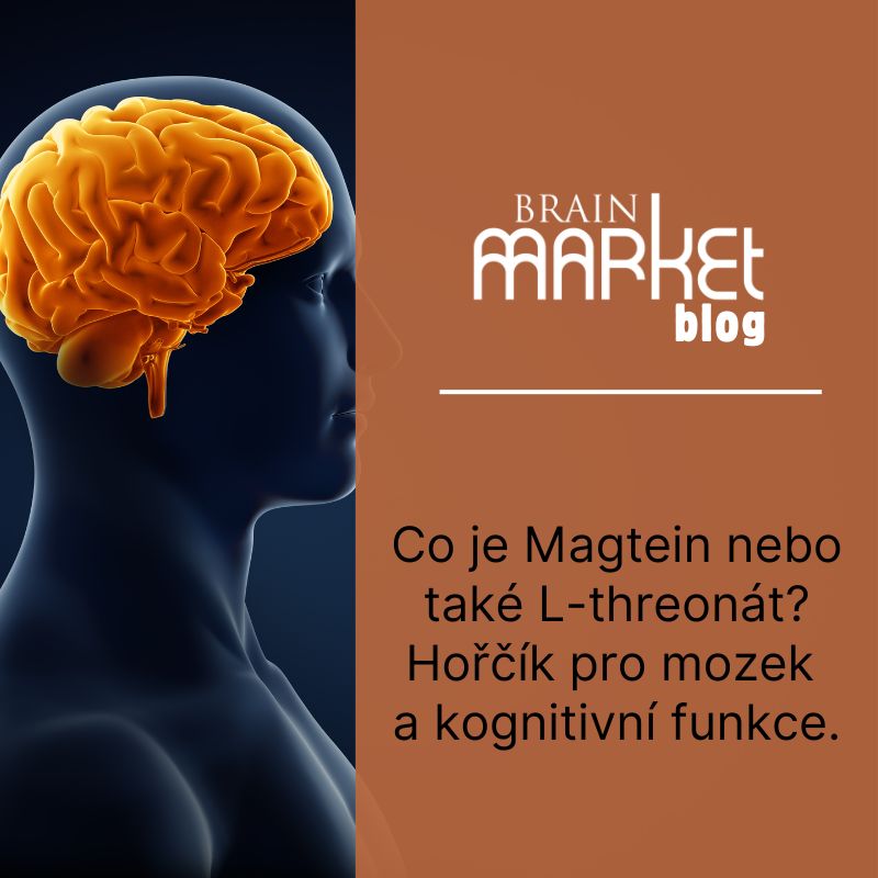 Co je magtein nebo také L-threonát? Hořčík pro mozek a kognitivní funkce.