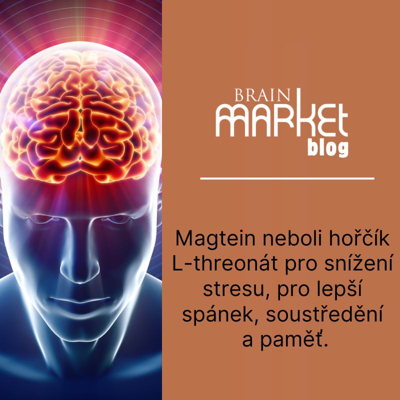 Magtein neboli hořčík L-threonát pro snížení stresu, pro lepší spánek, soustředění a paměť.