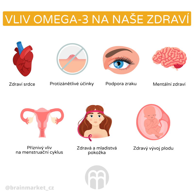 Omega 3 - nejvíce potřebný doplněk stravy?