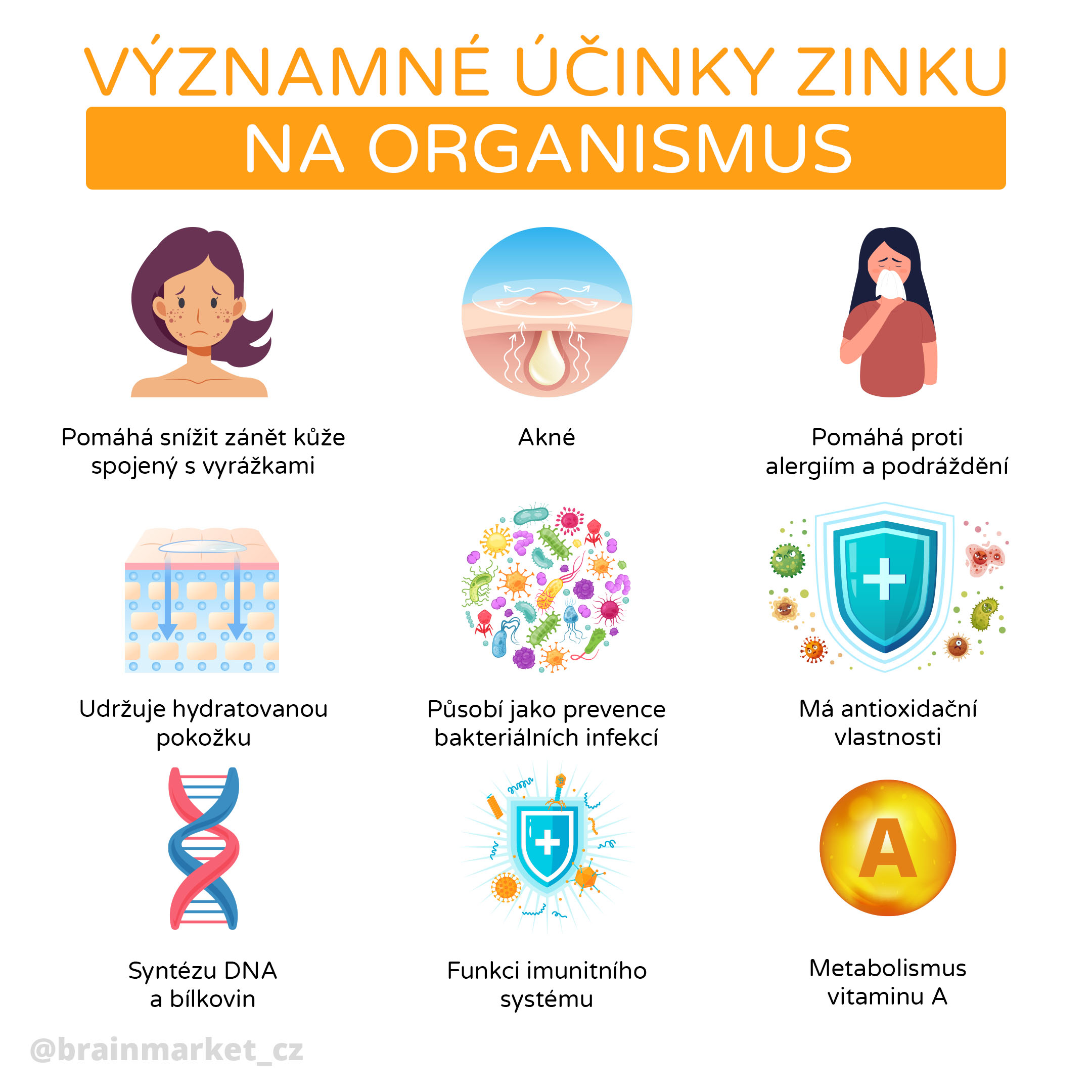 Zinek v organismu