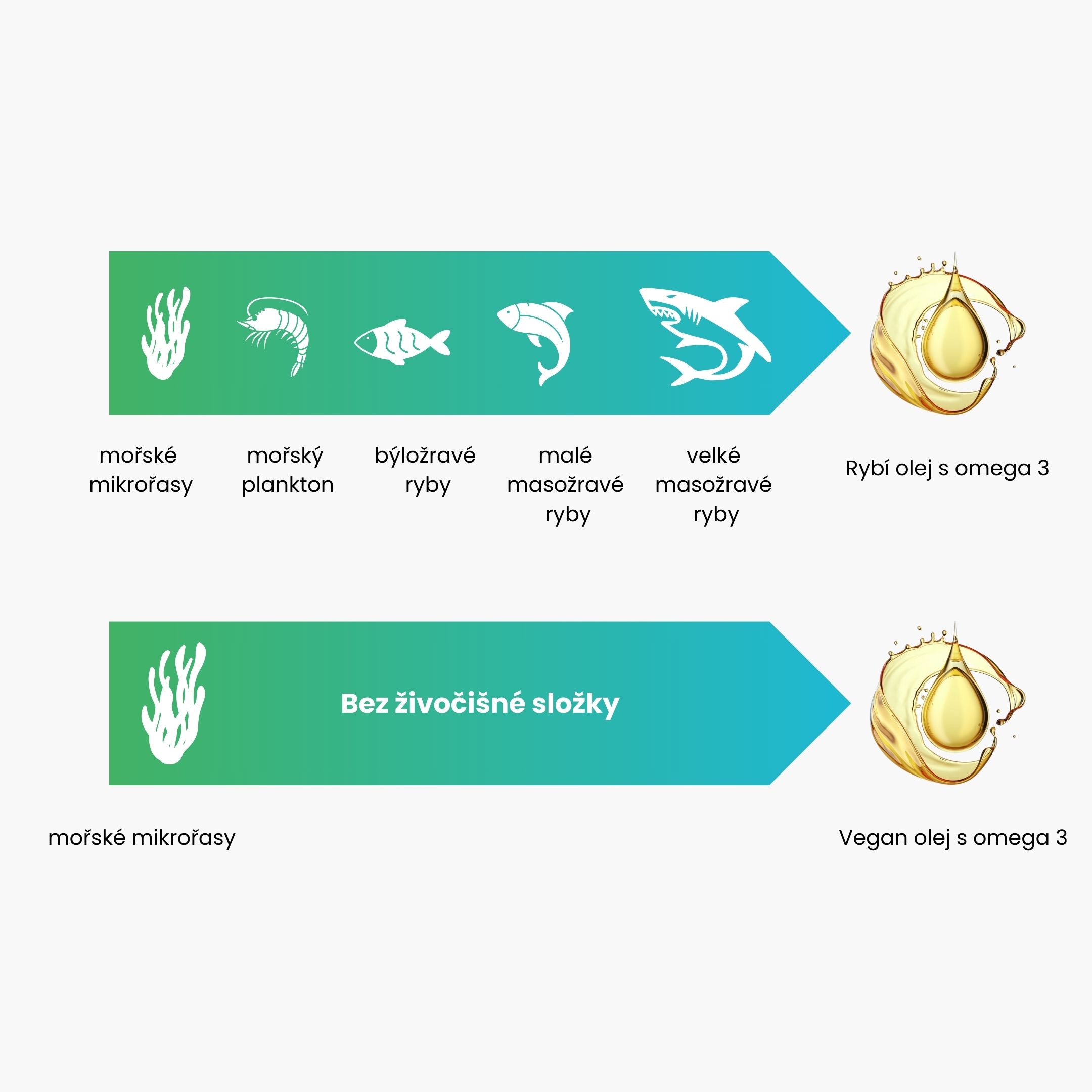 Výhody omega 3 z mořských řas